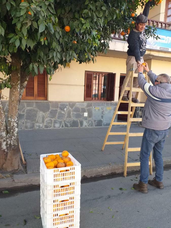 La Francisca Apartment San Salvador de Jujuy Luaran gambar